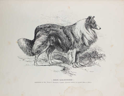 [Байланд Анри де. Породы собак. Их происхождение, оценки, описания, типы, качества, особенности и недостатки. В 2 ч.], 1897